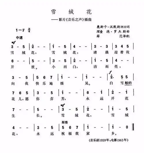 每日一歌雪绒花