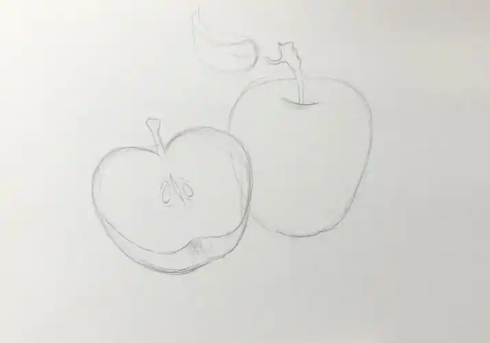 观察图片,用铅笔画出苹果大致的形态
