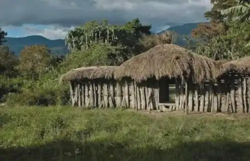 亚马逊女子原始部落|热带雨林|爱情故事_网易订阅