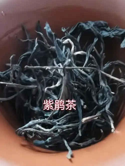 紫鹃茶