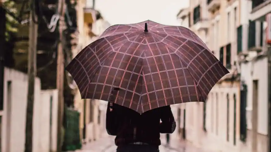 单人打伞背影图片高清原图查看