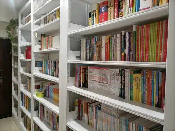 家庭版|图书馆书架💡