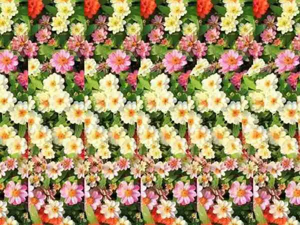 其它三维立体图简单入门含样例