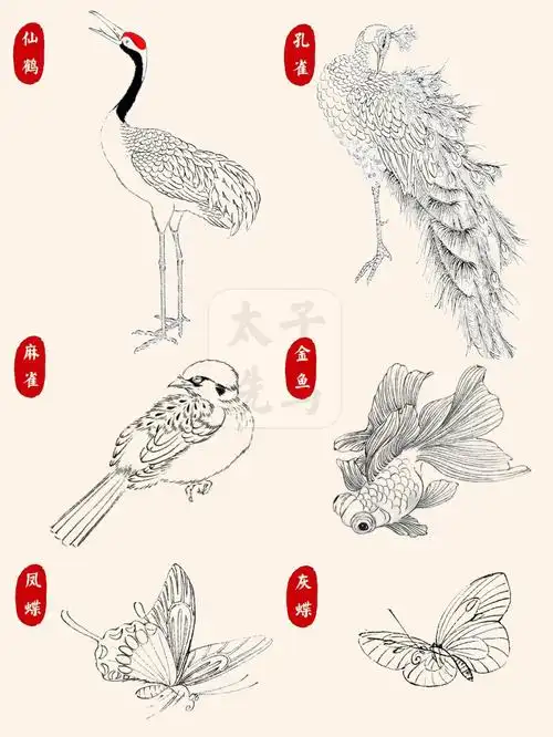 国画入门03线描白描禽鸟鱼虫合集大图60