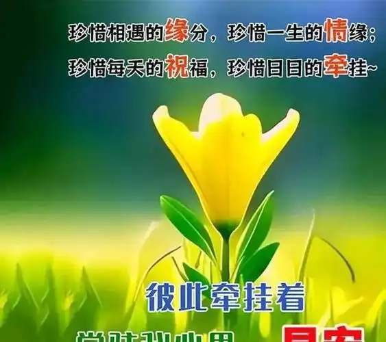 最新早安问候语早安祝福图暖心而漂亮