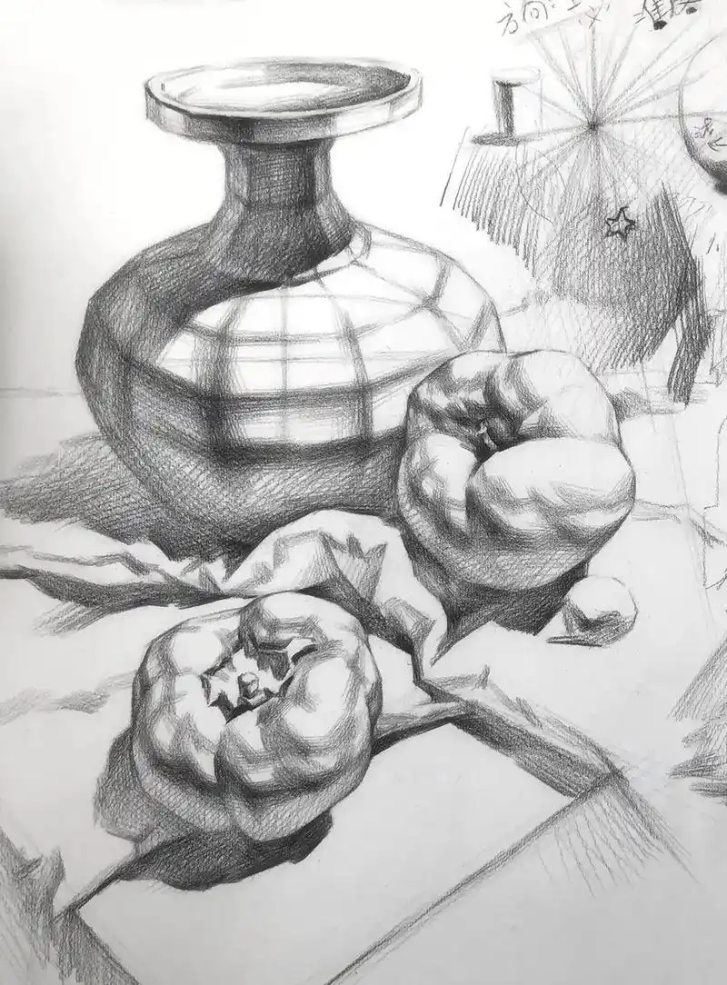 结构图片对照##美术生 #素描静物 #素描 #画画 #手绘  - 抖音