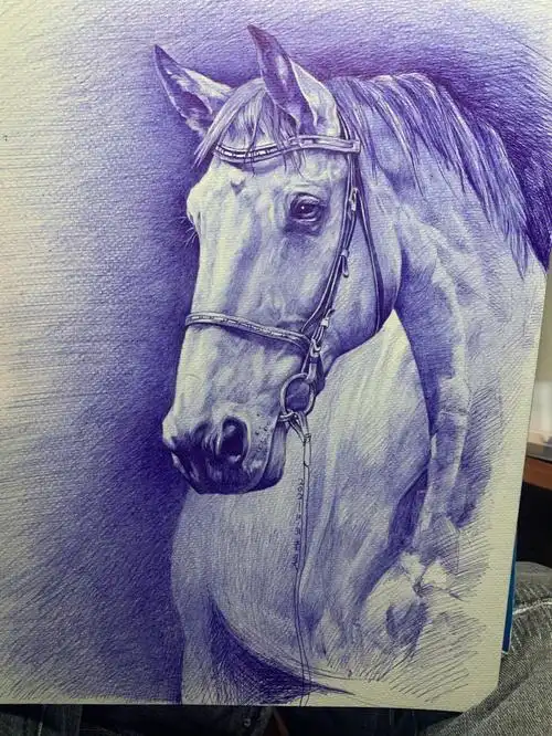 圆珠笔画  #圆珠笔手绘  #插画  #纹身手稿