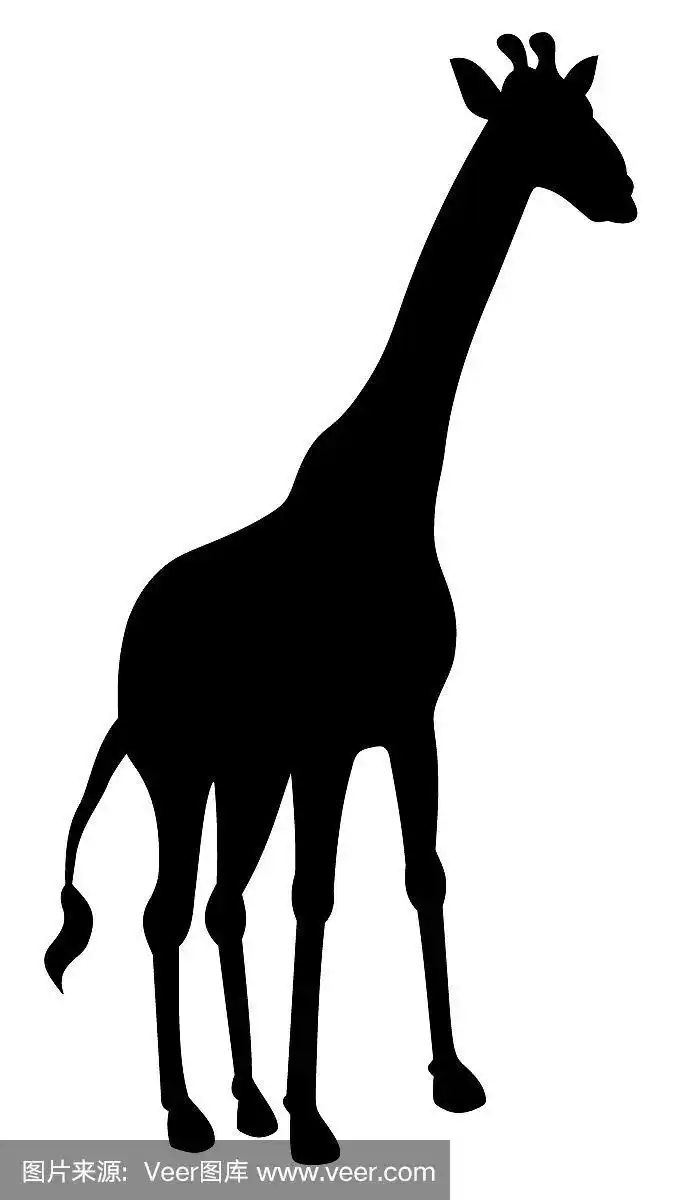 长颈鹿的影子