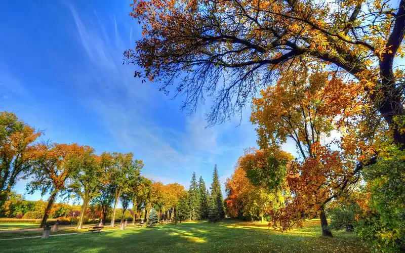 wallpaper autumn park, trees, grass, bench, sunshine, blue sky