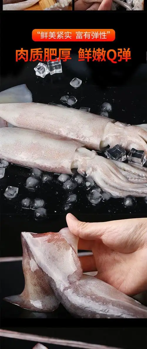 新鲜鱿鱼10斤整只冷冻深海大鱿鱼整箱批发海鲜烧烤火锅食材鱿鱼花大号