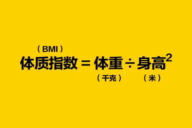 1,体质指数(body mass index,bmi)