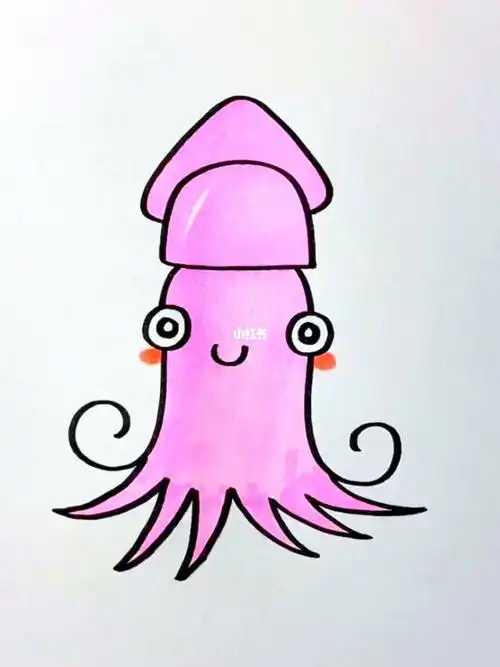 乌贼这样画一看就会