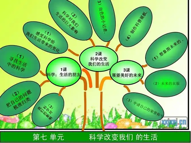 席翠红三年级科学知识树ppt