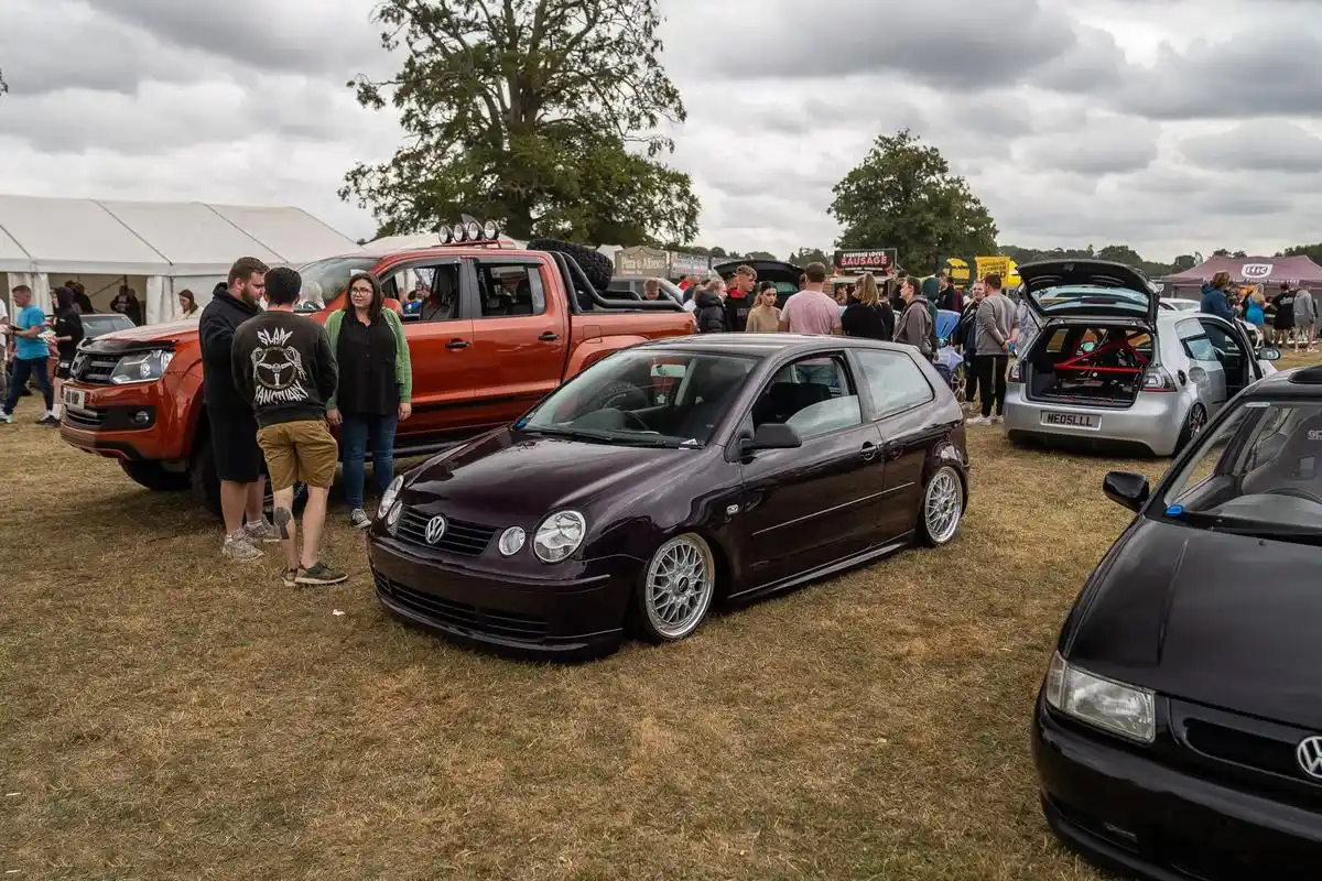 四眼polo.前段时间有很多小伙伴说想看polo,今天他来了 - 抖音