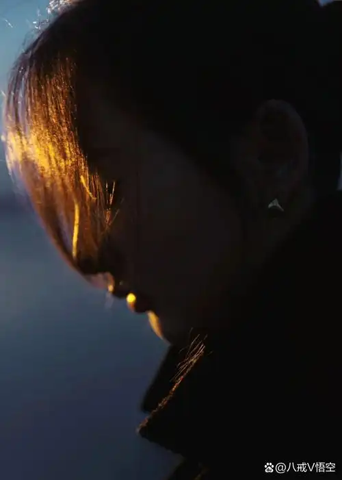 她的侧脸,如同古典的瓷器,细腻,柔美,又带着一种不易察觉的坚韧.