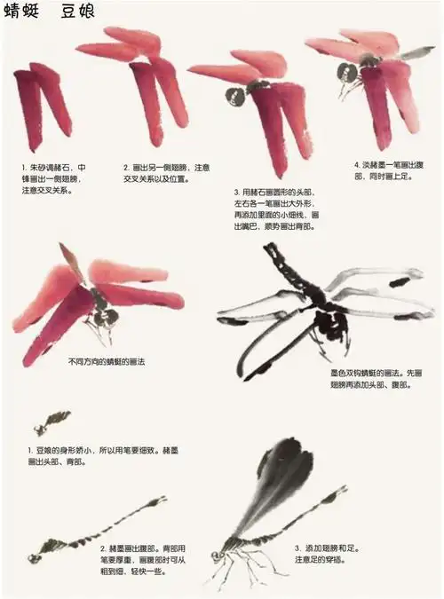 写意初级鱼虫篇蜻蜓