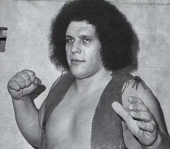 "巨人"摔角手安德烈,一次能喝147瓶啤酒,死后骨灰都有十多斤_身高