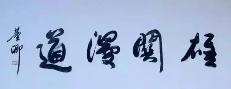 原创央视主持人董卿书法欣赏,写出优雅气质,最会写字的主持人!