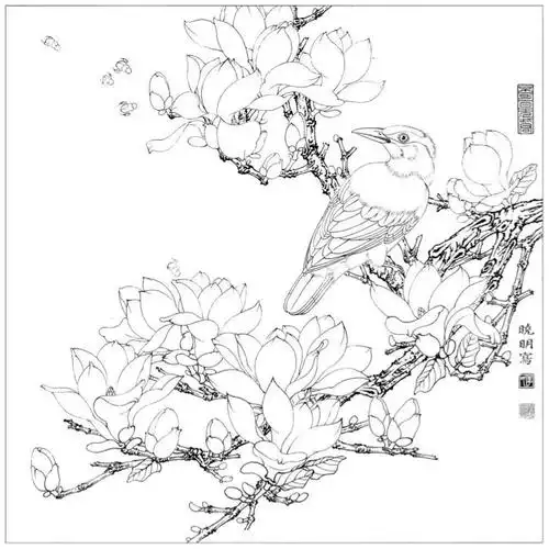 李晓明老师新作《玉兰黄鹂》
