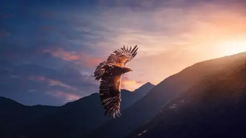 鹰飞行,阳光,山脉 iphone 壁纸