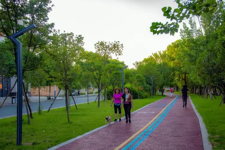 小区 散步(游步道) 晨练