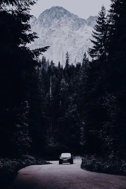 照片有毒ins最新暗黑风格再来一波