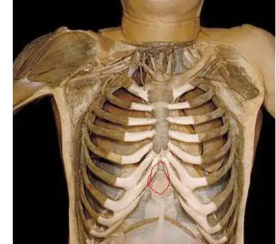 >> 文章内容 >> 按胸口中间疼是怎么回事 胸口中间骨头按着疼问:这几