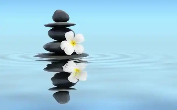 外表宁静给人以美内心宁静给人以慧