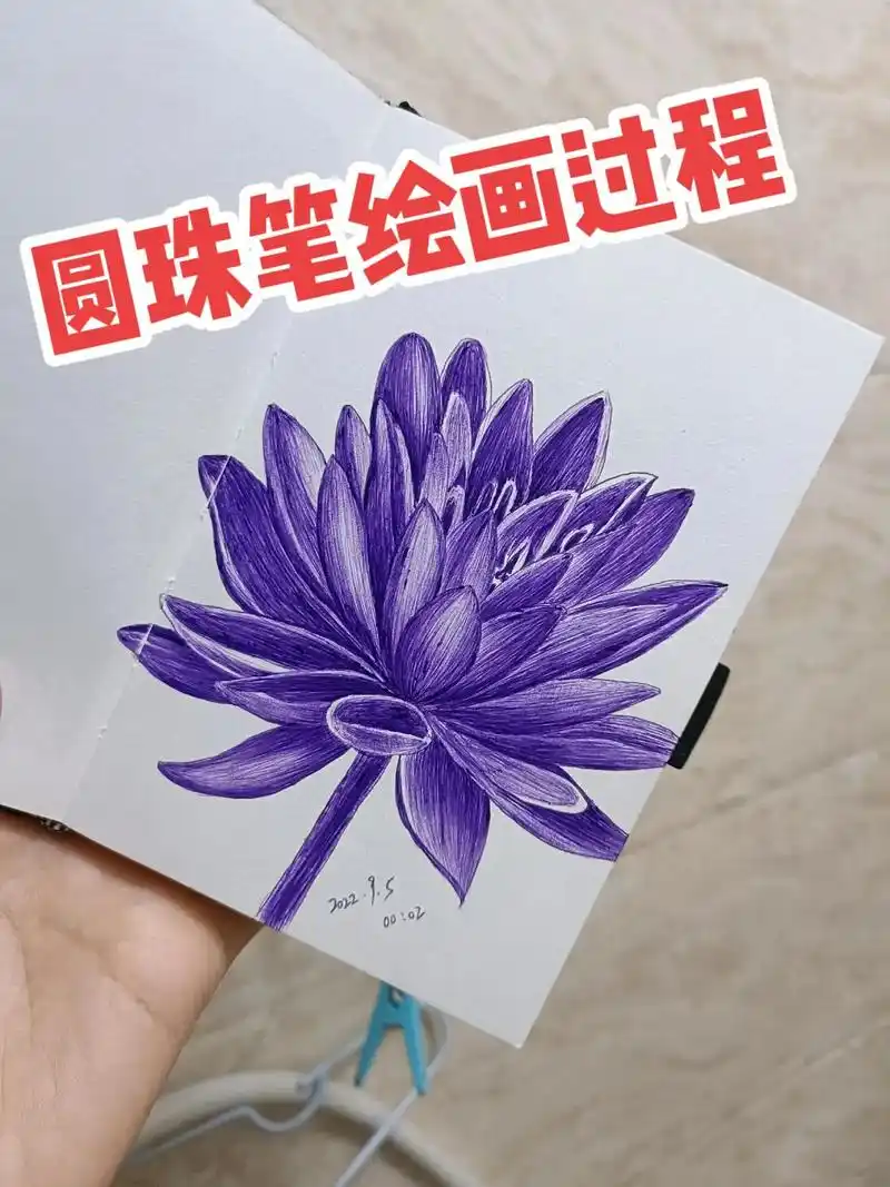 圆珠笔手绘睡莲.#圆珠笔画 #手绘 #花卉#临摹 #画画  - 抖音