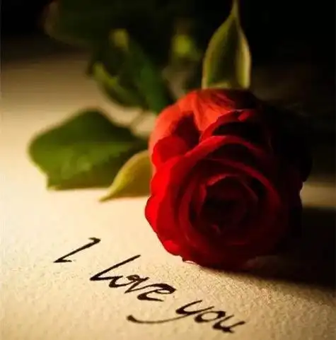 浪漫唯美玫瑰花图片(浪漫爱情玫瑰花图片)