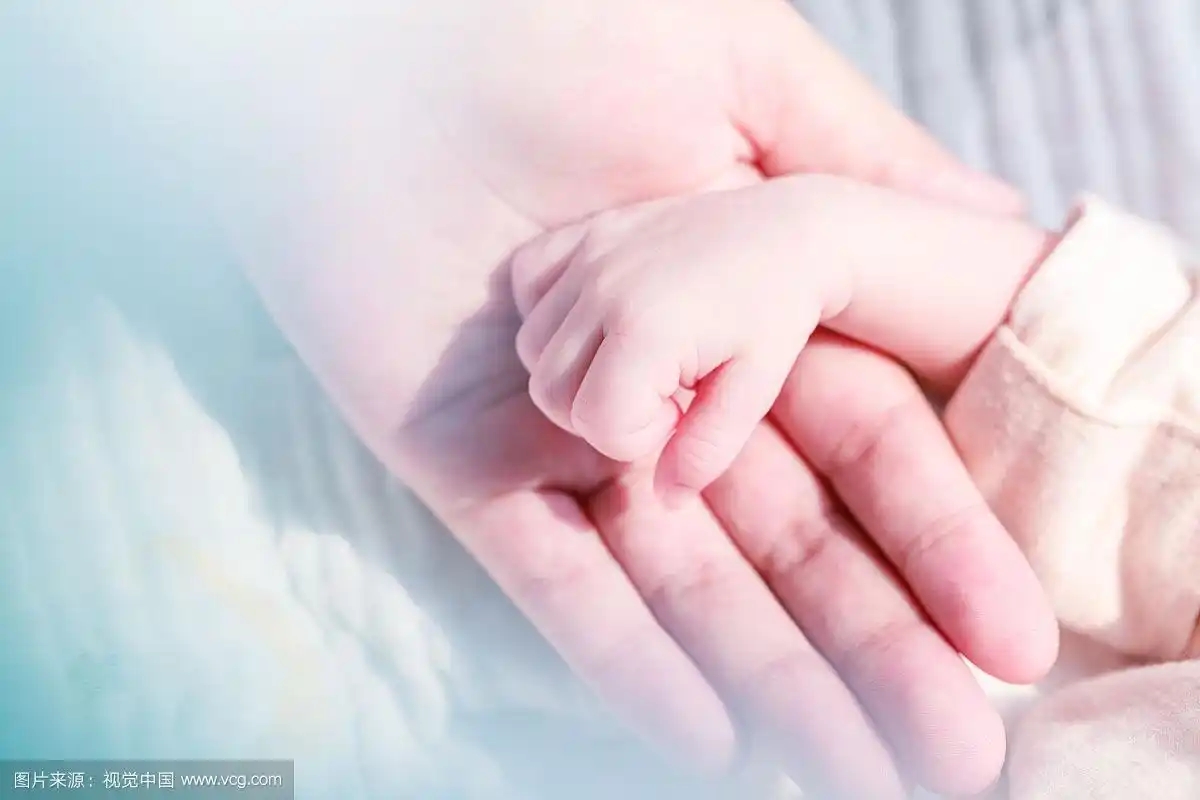 婴儿的小手