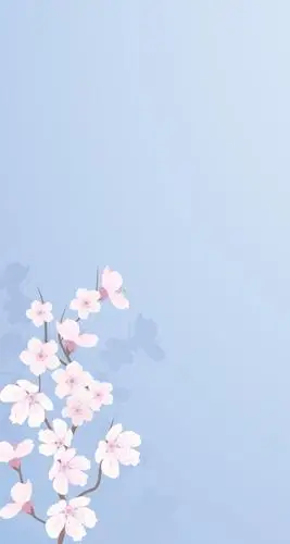 1200_2250竖版 竖屏