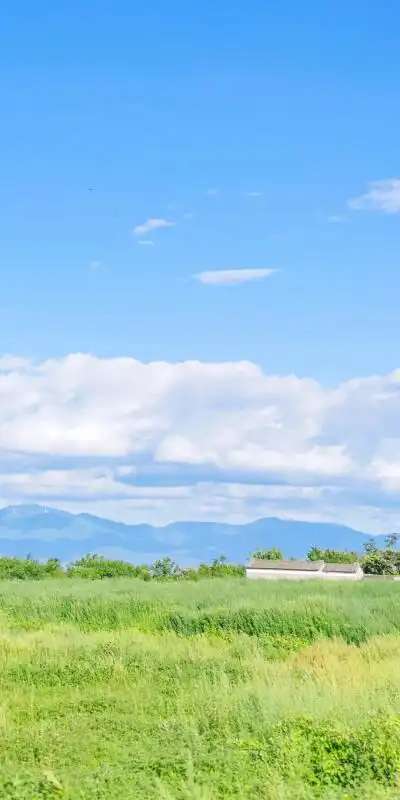 手机壁纸 清新自然景色 护眼 蓝天白云 风车 山谷小房子 向日葵