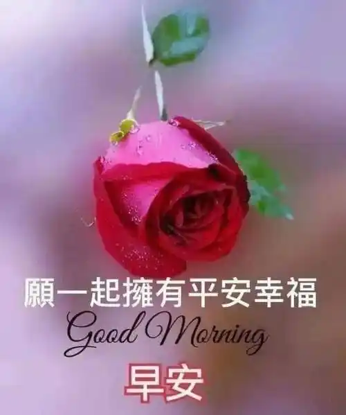 用顺口溜问候早上好早上好图片18种