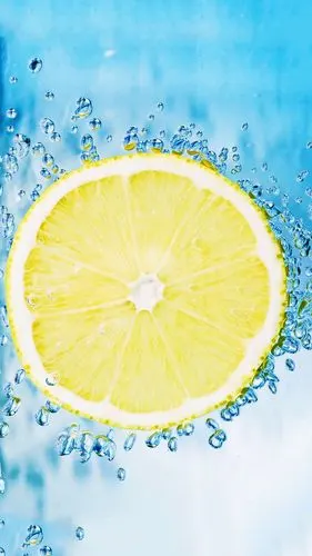 清新护眼柠檬图片手机壁纸