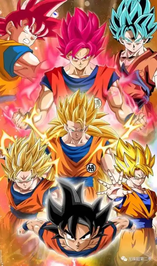 七龙珠壁纸悟空形态大合影