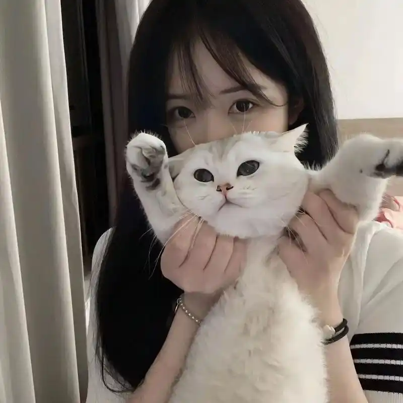 头像 #ins女头 #优质头像 #该换头像了 #抱猫头像 - 抖音