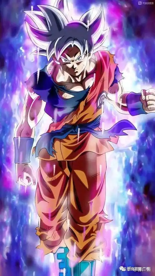 龙珠图集悟空自在极意功专辑