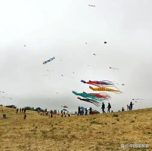风筝翱翔的生物世界放风筝与生物多样性的文化意义