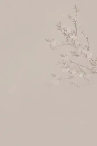 影楼摄影背景古典中国风背景布古装拍照背景复古民国风全家福背景 菏