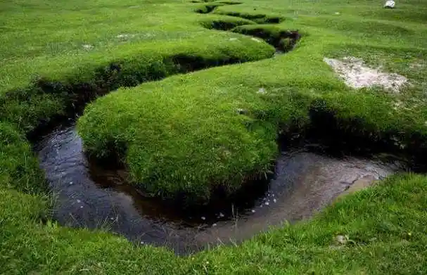 世界上最窄河流:最窄的地方只有几厘米!网友:这应该是小溪吧?