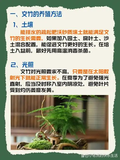 文竹的养殖方法和注意事项 一,文竹的养殖方法 1,土壤 能排水的疏松