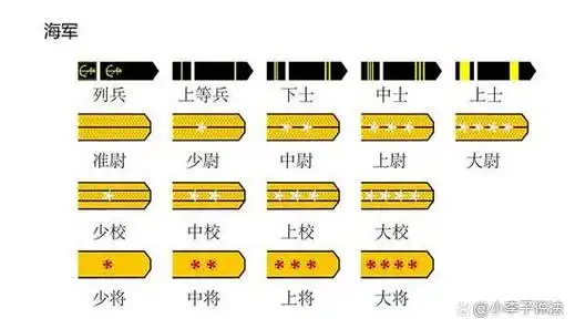 55式军衔肩章,领章完整图解!喜欢的记得收藏