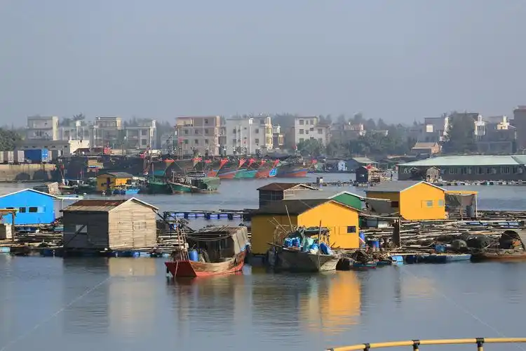 除了全国排名靠前的湛江港外,还有雷州湾,流沙港,乌石港,安铺港等渔港