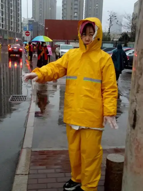 今日小寒--风雨之中的美丽身影