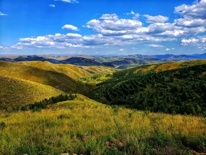 一说到坝上草原,好多人都会想到围场,丰宁,张北,其实沽源