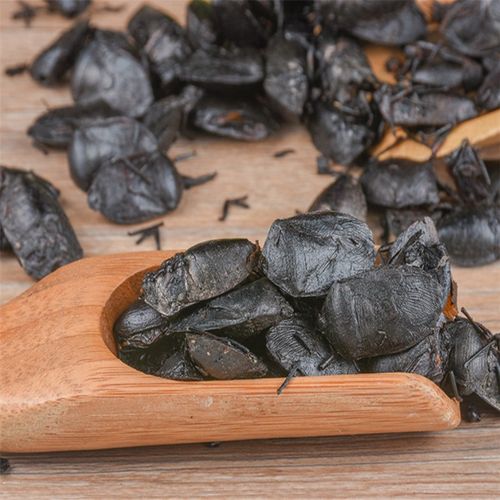 九香中药材正品新货100g包邮打屁虫黑兜虫蜣螂其他药食同源食品