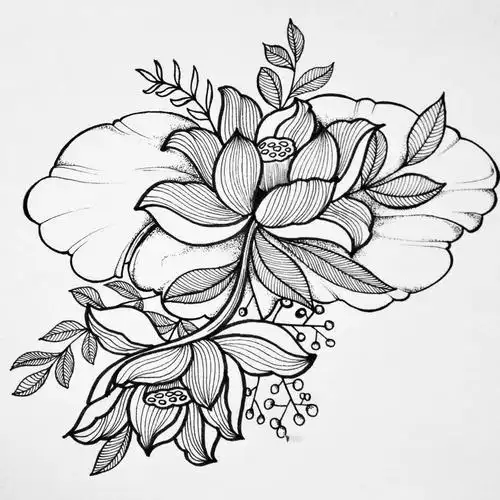 线描素材|一支笔可以完成的花卉装饰画