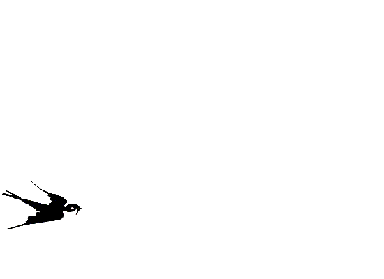 【原创素材】鸟类透明gif素材(3)