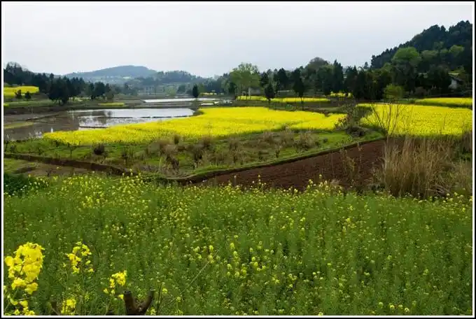 四川春天田园景色